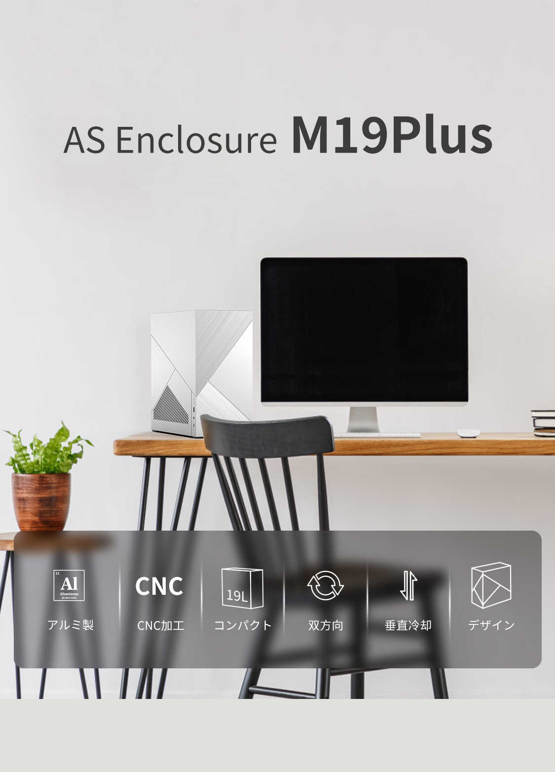 M19P